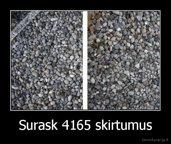 Surask 4165 skirtumus - 