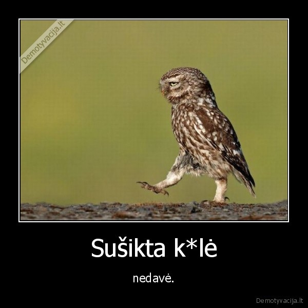 Sušikta k*lė - nedavė.