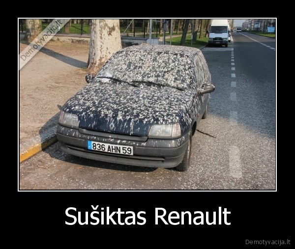 Sušiktas Renault - 