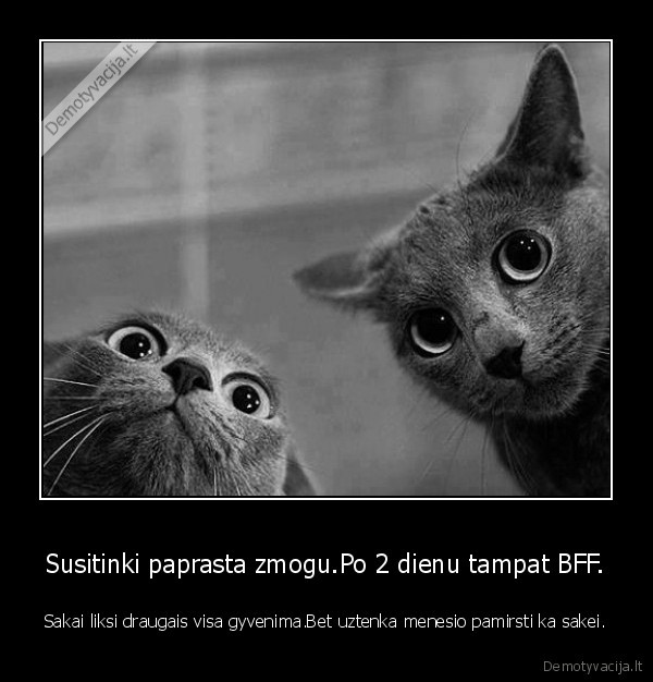 Susitinki paprasta zmogu.Po 2 dienu tampat BFF. - Sakai liksi draugais visa gyvenima.Bet uztenka menesio pamirsti ka sakei.