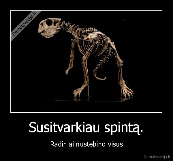 Susitvarkiau spintą. - Radiniai nustebino visus