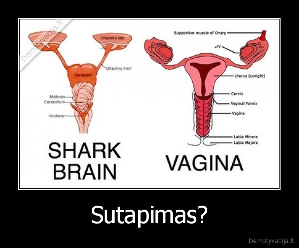 Sutapimas? - 