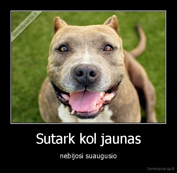 Sutark kol jaunas - nebijosi suaugusio