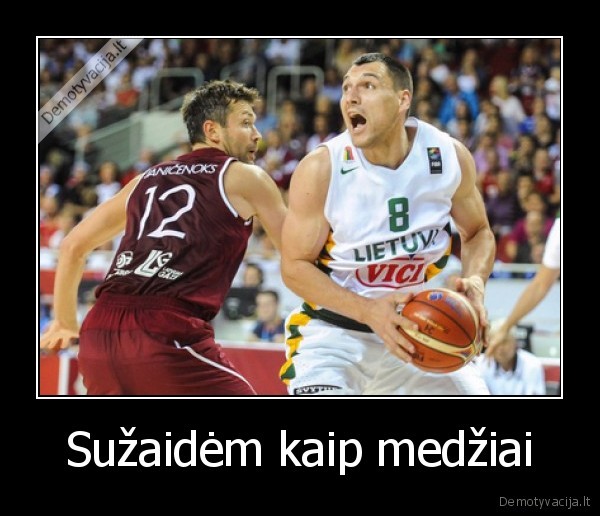 Sužaidėm kaip medžiai - 