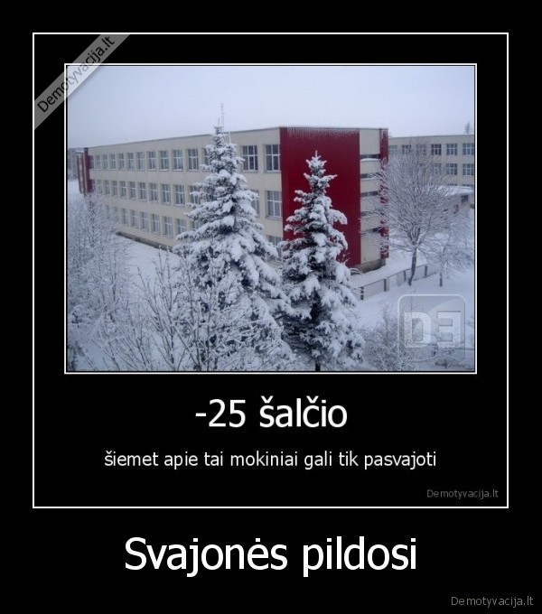 Svajonės pildosi - 