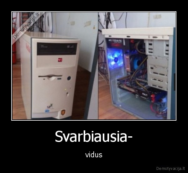 Svarbiausia- - vidus