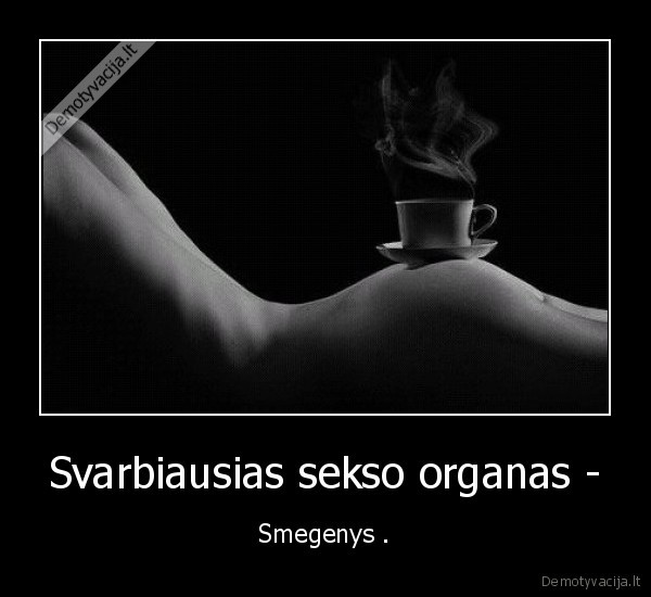 Svarbiausias sekso organas - - Smegenys .