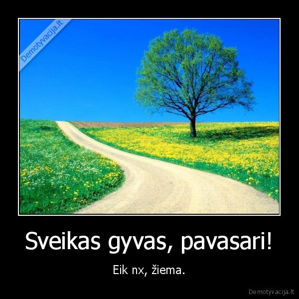Sveikas gyvas, pavasari! - Eik nx, žiema.