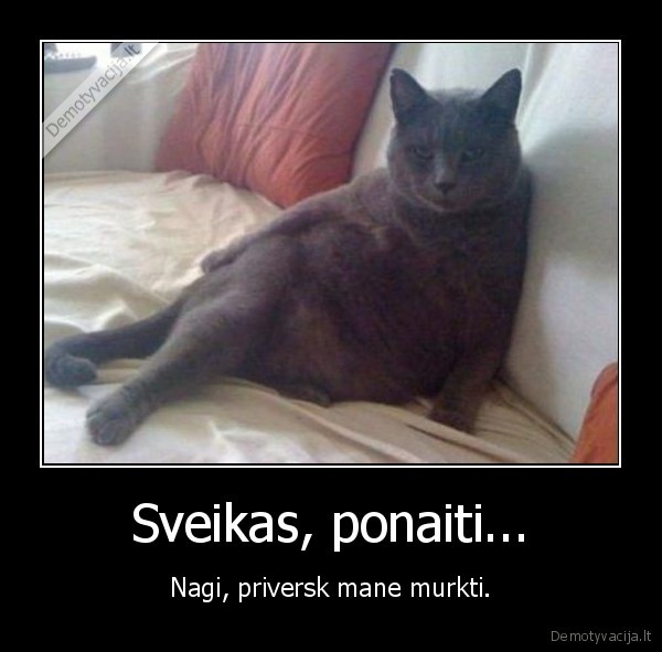 Sveikas, ponaiti... - Nagi, priversk mane murkti.