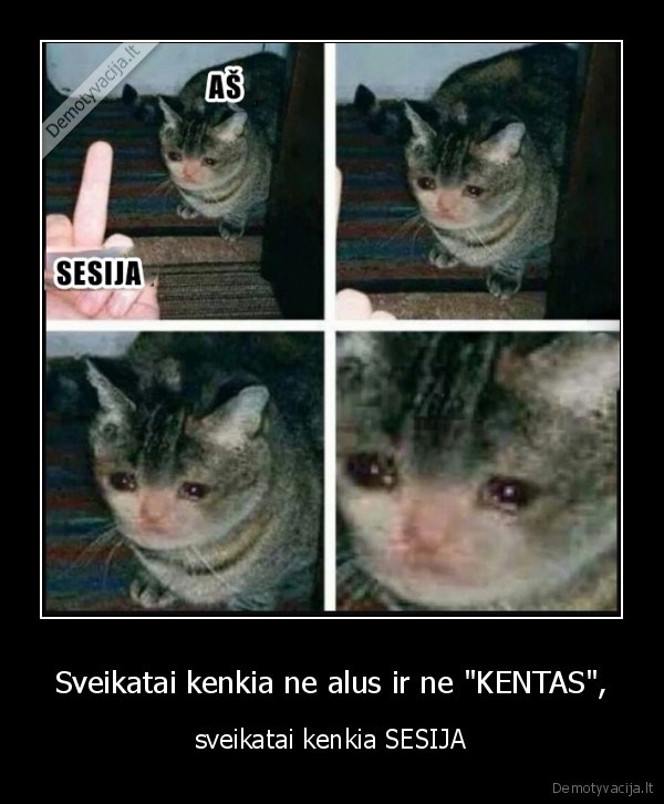 Sveikatai kenkia ne alus ir ne "KENTAS", - sveikatai kenkia SESIJA