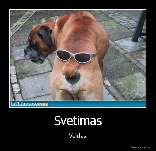 Svetimas - Veidas