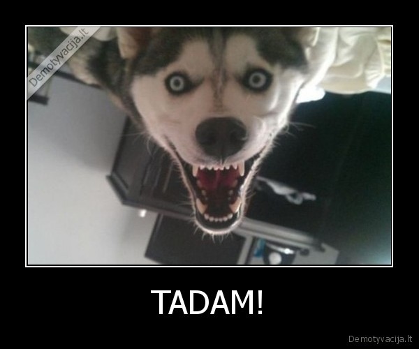 TADAM! - 