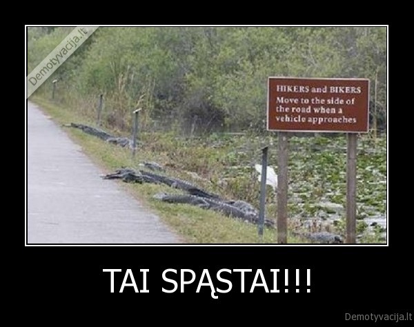 TAI SPĄSTAI!!! - 