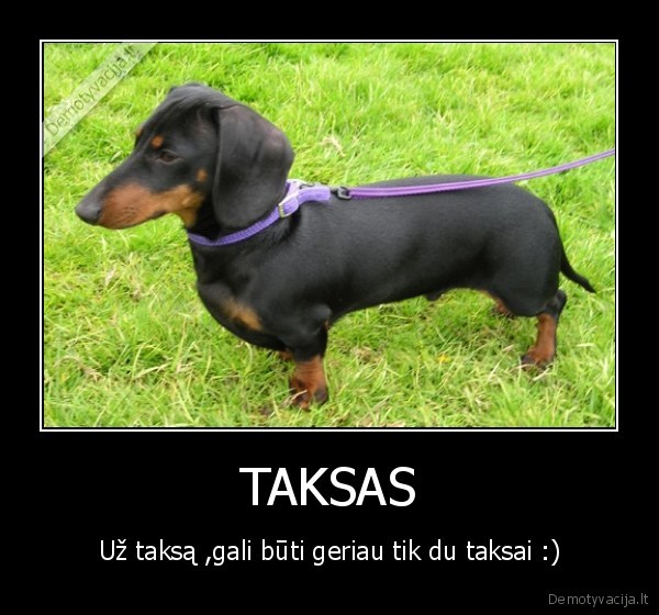 TAKSAS - Už taksą ,gali būti geriau tik du taksai :)