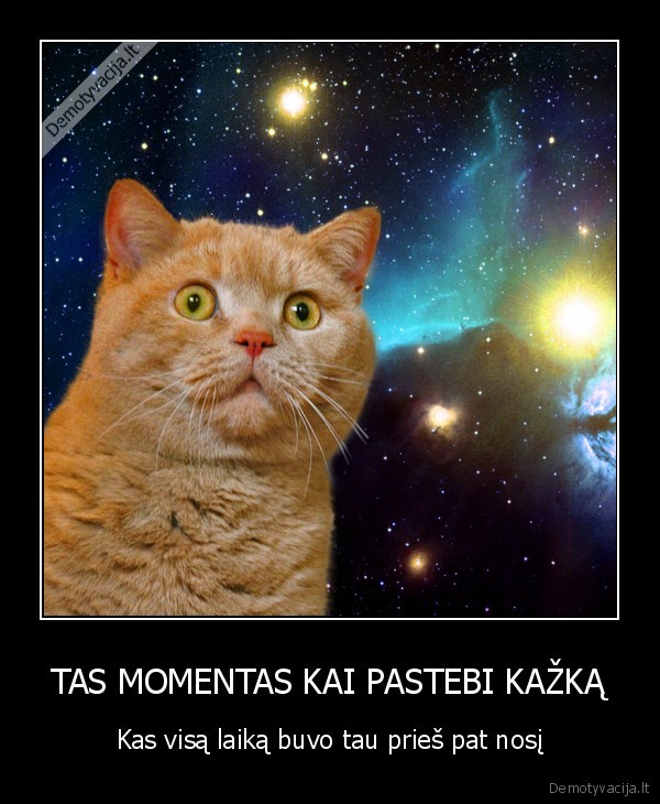 TAS MOMENTAS KAI PASTEBI KAŽKĄ - Kas visą laiką buvo tau prieš pat nosį