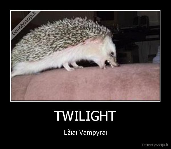 TWILIGHT - Ežiai Vampyrai