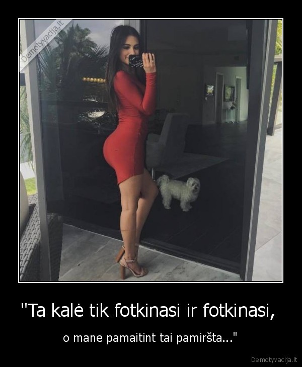 "Ta kalė tik fotkinasi ir fotkinasi,  - o mane pamaitint tai pamiršta..."