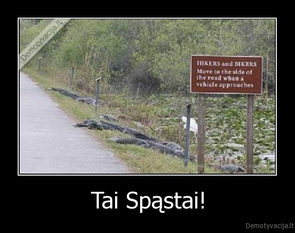 Tai Spąstai! - 