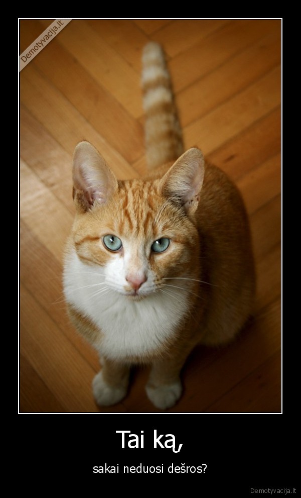 Tai ką, - sakai neduosi dešros?