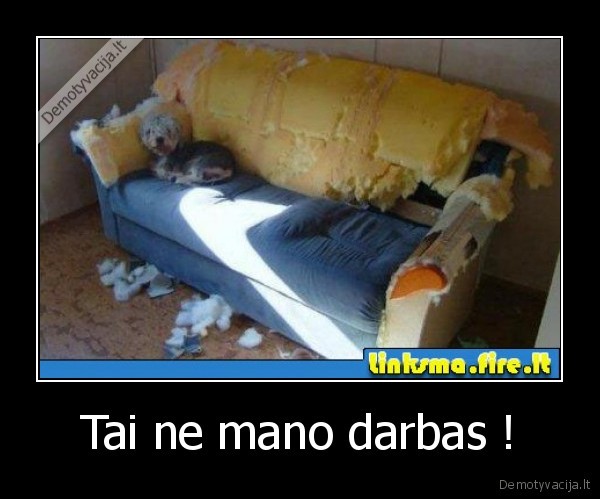 Tai ne mano darbas ! - 