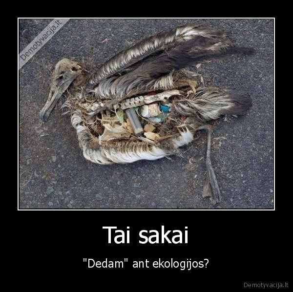 Tai sakai - "Dedam" ant ekologijos?