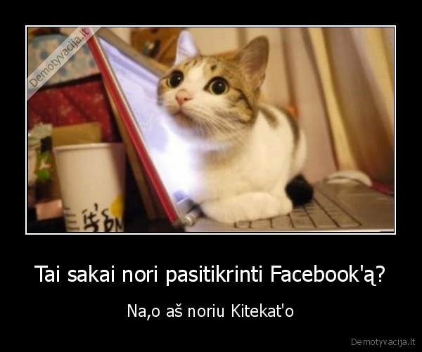 Tai sakai nori pasitikrinti Facebook'ą? - Na,o aš noriu Kitekat'o