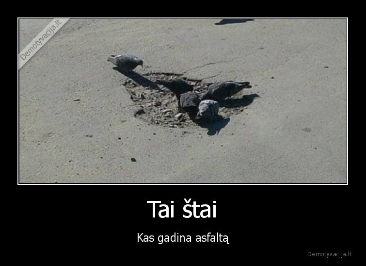 Tai štai - Kas gadina asfaltą