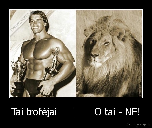 Tai trofėjai     |      O tai - NE! - 