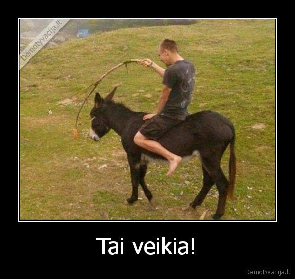 Tai veikia! - 