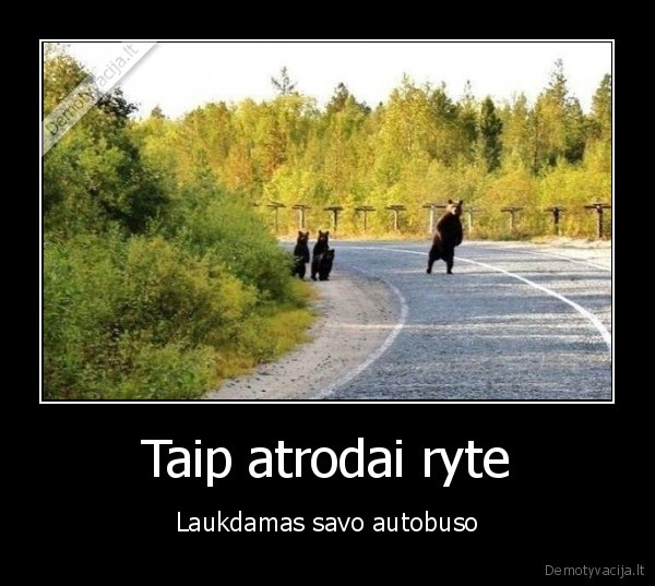 Taip atrodai ryte - Laukdamas savo autobuso