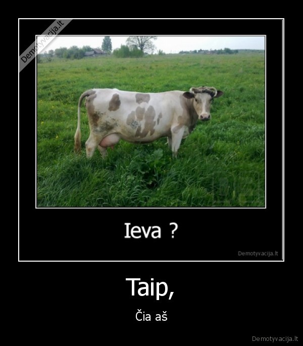 Taip, - Čia aš