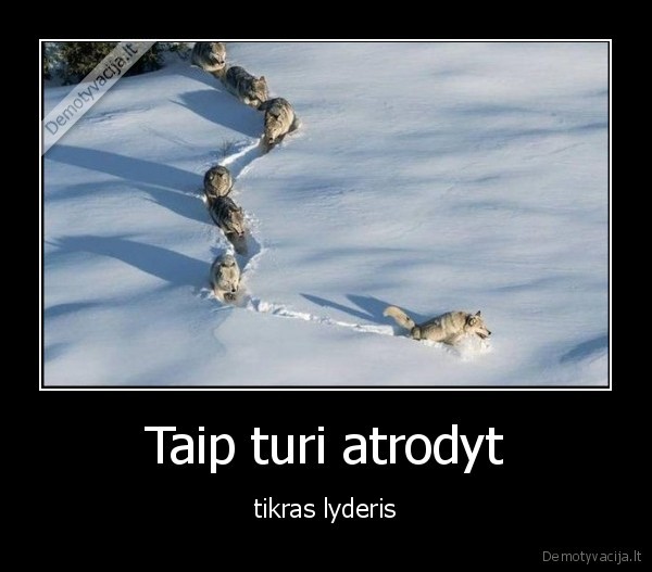 Taip turi atrodyt - tikras lyderis