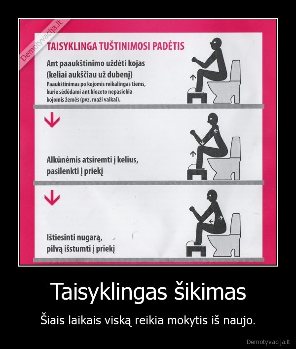 Taisyklingas šikimas - Šiais laikais viską reikia mokytis iš naujo.