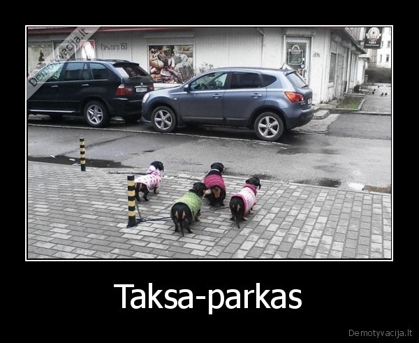 Taksa-parkas - 