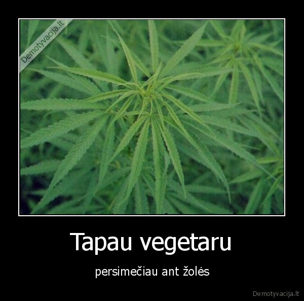 Tapau vegetaru - persimečiau ant žolės