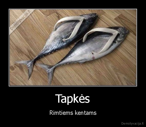 Tapkės - Rimtiems kentams