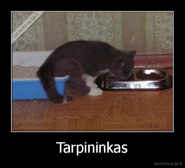 Tarpininkas - 