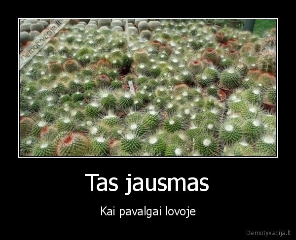 Tas jausmas - Kai pavalgai lovoje