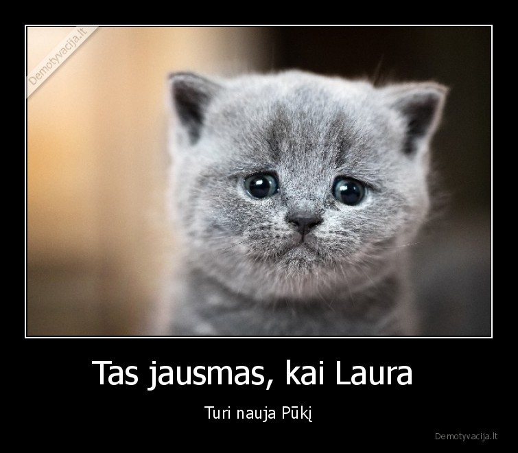 Tas jausmas, kai Laura  - Turi nauja Pūkį