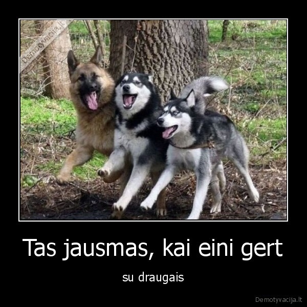 Tas jausmas, kai eini gert - su draugais