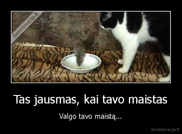 Tas jausmas, kai tavo maistas - Valgo tavo maistą...