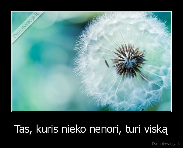 Tas, kuris nieko nenori, turi viską - 