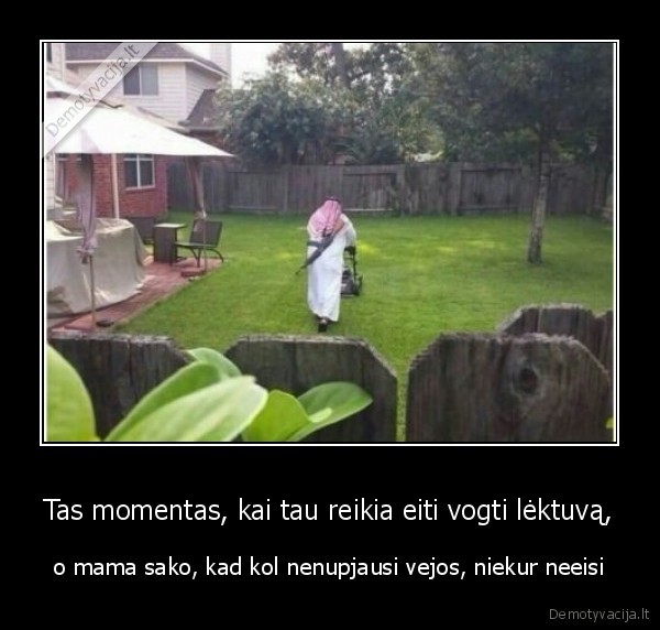 Tas momentas, kai tau reikia eiti vogti lėktuvą, - o mama sako, kad kol nenupjausi vejos, niekur neeisi