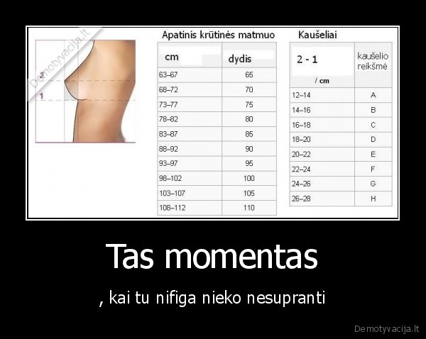 Tas momentas - , kai tu nifiga nieko nesupranti