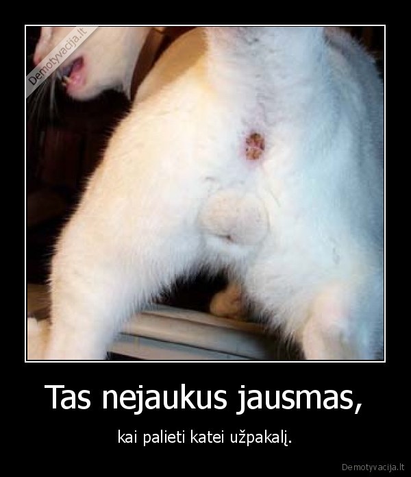 Tas nejaukus jausmas, - kai palieti katei užpakalį.