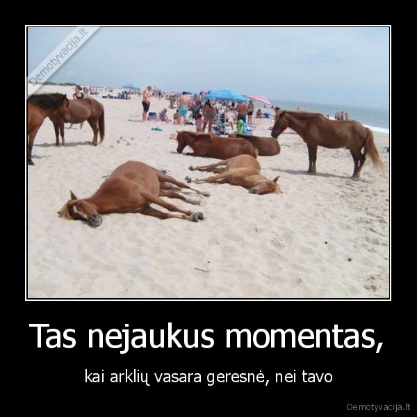 Tas nejaukus momentas, - kai arklių vasara geresnė, nei tavo