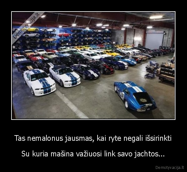 Tas nemalonus jausmas, kai ryte negali išsirinkti - Su kuria mašina važiuosi link savo jachtos...