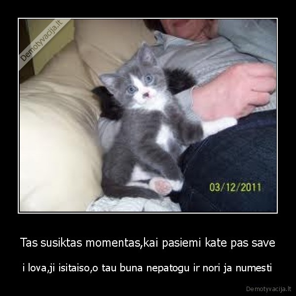 Tas susiktas momentas,kai pasiemi kate pas save - i lova,ji isitaiso,o tau buna nepatogu ir nori ja numesti