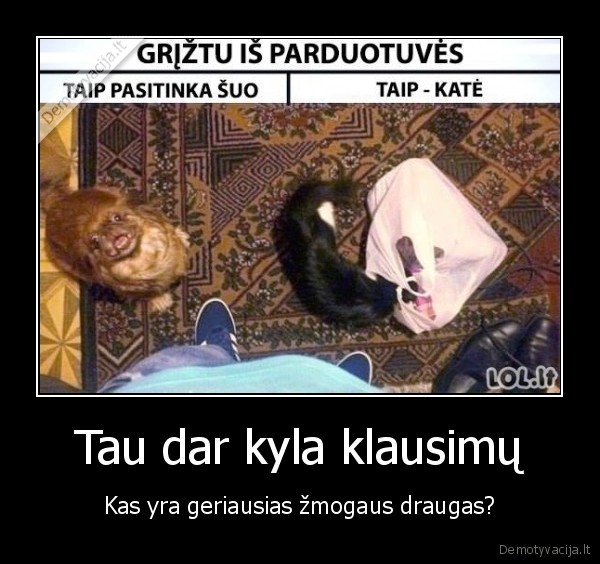 Tau dar kyla klausimų - Kas yra geriausias žmogaus draugas?