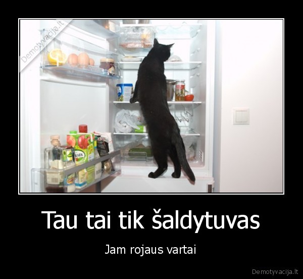 Tau tai tik šaldytuvas - Jam rojaus vartai